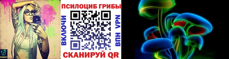 Псилоцибиновые грибы мухоморы omg сайт Ильский